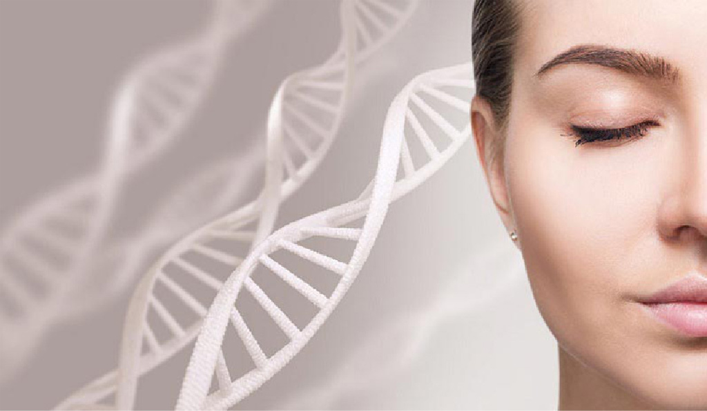 Liệu trình trẻ hóa da tế bào gốc